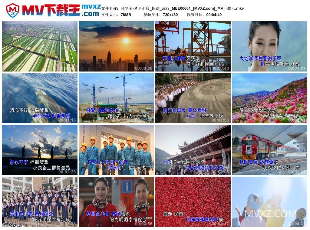 张华金-梦里小康_国语_流行_MEE00601